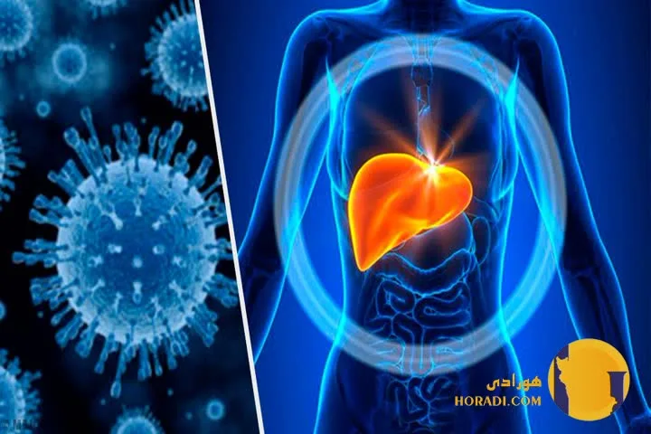 هپاتیت C چیست؟ علائم تشخیص و درمان