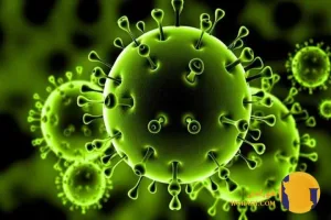 کرونا چیست؟ علائم پیشگیری و درمان خانگی