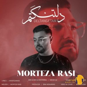دانلود اهنگ دلتنگتم مرتضی راثی + متن اهنگ