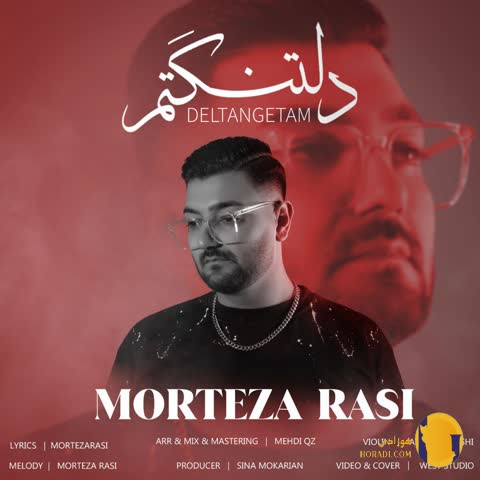دانلود اهنگ دلتنگتم مرتضی راثی + متن اهنگ