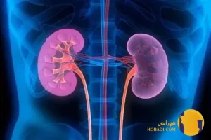 عفونت ادراری چیست؟ علائم علت ها و درمان سریع