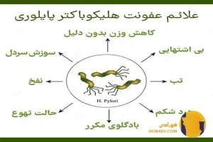 هلیکوباکتر پیلوری چیست؟ علائم تشخیص و درمان