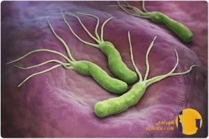 هلیکوباکتر پیلوری چیست؟ علائم تشخیص و درمان