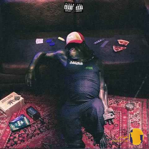 دانلود اهنگ گوریلا (gorilla) ریری کچی بیتز + متن اهنگ