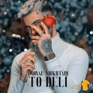 دانلود اهنگ تو دلی پویان مختاری + متن اهنگ