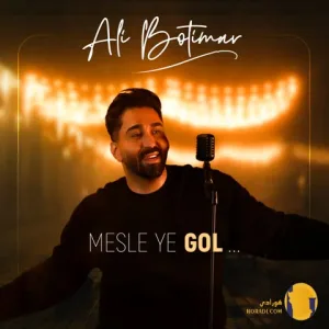 دانلود اهنگ مثل یه گل علی بوتیمار + متن اهنگ