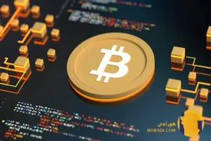 بررسی خطرات بازارهای غیرمتمرکز