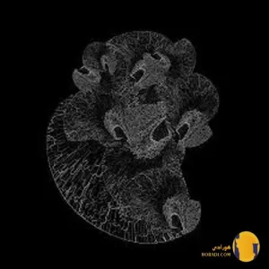 دانلود اهنگ نیاز بهراز + متن اهنگ