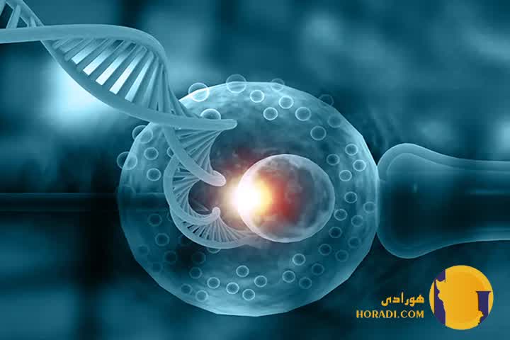 بیماری های ژنتیکی چیست؟ علائم و روش های تشخیص