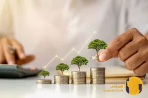 سرمایه گذاری با بودجه محدود نکات مهم