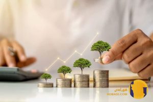 سرمایه گذاری با بودجه محدود نکات مهم