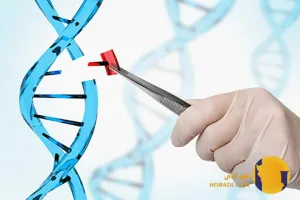 مشکلات ژنتیکی نادر چیست؟ علائم و تشخیص