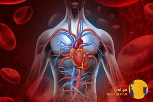 نارسایی قلبی چیست؟ علائم و روش های کنترل