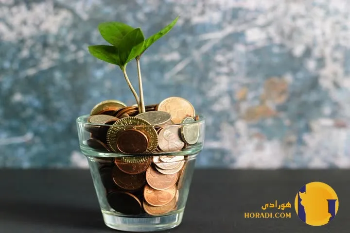 استراتژی های سرمایه گذاری در شرایط تورم