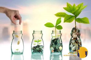 چگونه سرمایه خود را از بحران های مالی حفظ کنیم