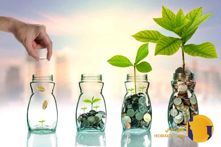 چگونه سرمایه خود را از بحران های مالی حفظ کنیم