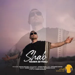 دانلود آهنگ شب ناصر زینلی + متن آهنگ