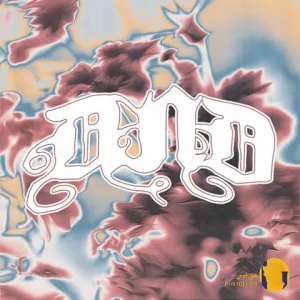 دانلود آهنگ دی ان دی (DND) سیوهش + متن آهنگ