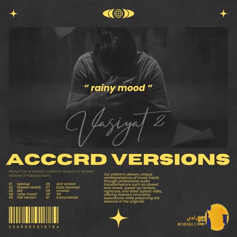 دانلود ورژن بارونی اهنگ وصیت 2 ناجی + متن اهنگ