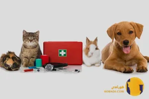 کمک های اولیه در گزش حیوانات و سگ ها