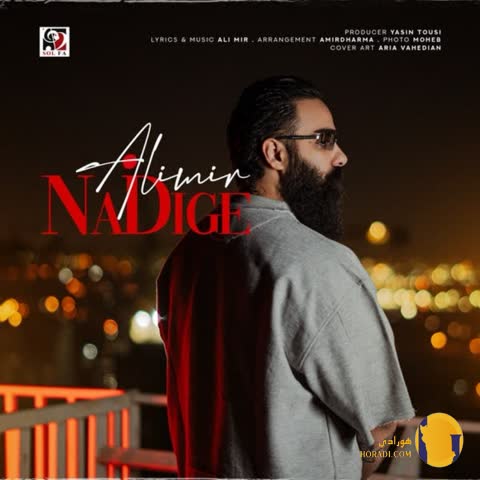 دانلود آهنگ نه دیگه علی میر + متن آهنگ