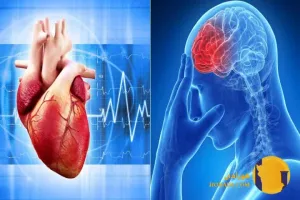 آموزش تشخیص علائم سکته قلبی و مغزی