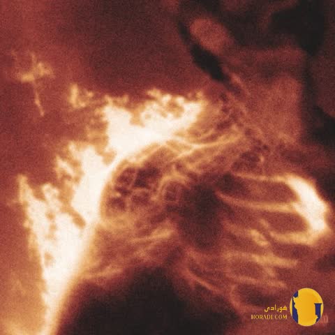 دانلود آهنگ سر چیفپی + متن آهنگ