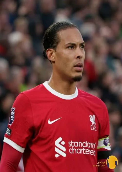 ویرجیل فن دایک