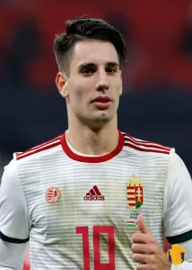 دومینیک سوبوسلای