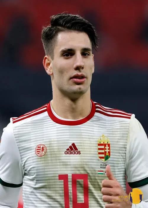 دومینیک سوبوسلای