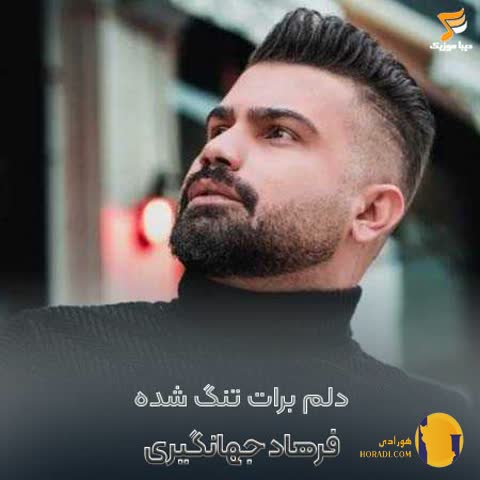 دانلود اهنگ دلم برات تنگ شده قلبت از سنگ شده فرهاد جهانگیری + متن اهنگ