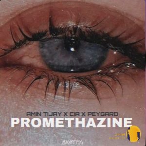 دانلود ریمیکس پرومتازین امین ت