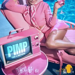 دانلود ریمیکس pimp هیپالوژیست کوروش ارتا لیتو + متن ریمیکس