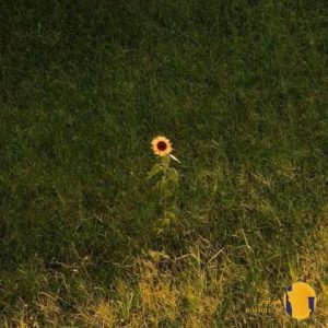 دانلود آهنگ برو به یار بگو یار