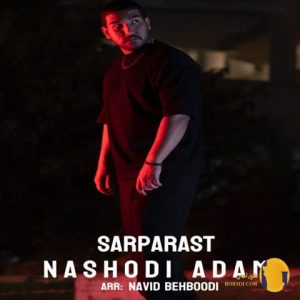 دانلود آهنگ نشدی آدم سرپرست + 