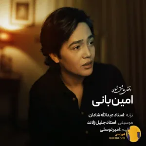 دانلود اهنگ وقتی عاشق شوی امین بانی + متن اهنگ