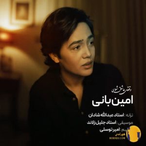 دانلود اهنگ وقتی عاشق شوی امین