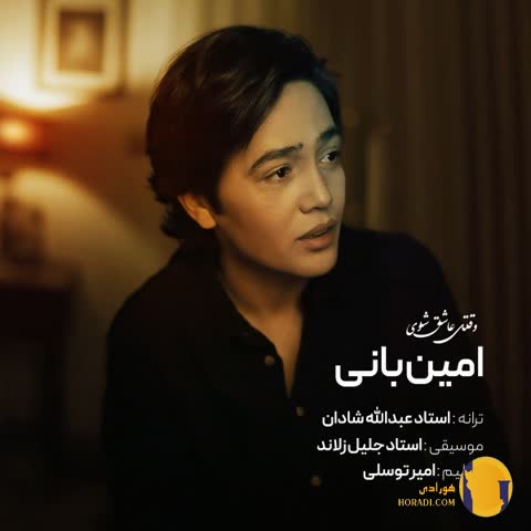 دانلود اهنگ وقتی عاشق شوی امین بانی + متن اهنگ