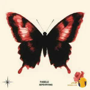 دانلود اهنگ فاصله از سپهر یانگ + متن آهنگ