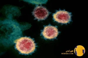 ویروس کرونا نوع چهارم و جدیدترین نوع در سال 1404