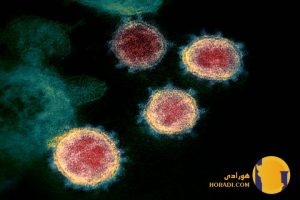 ویروس کرونا نوع چهارم و جدیدترین نوع در سال 1404