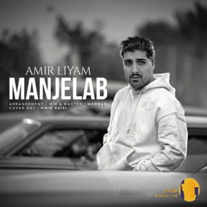 دانلود آهنگ منجلاب امیر لیام +
