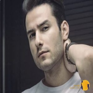 دانلود اهنگ دوست دارم مهدی احم