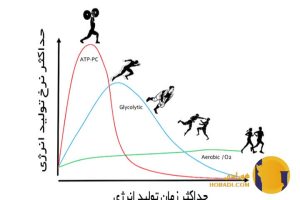 سیستم انرژی بدن در بدنسازی چگونه کار می کند؟ (ATP-PC و لاکتیک)