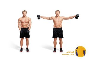 تمرین فول بادی یا اسپلیت؟ بررسی مزایا و معایب هرکدام