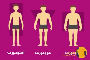 طراحی برنامه بدنسازی بر اساس تیپ بدنی (اکتومورف مزومورف اندومورف)