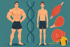 تأثیر ژنتیک بر سرعت عضله سازی آیا واقعاً مهم است؟