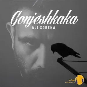 دانلود اهنگ گنجشککا علی سورنا + متن اهنگ