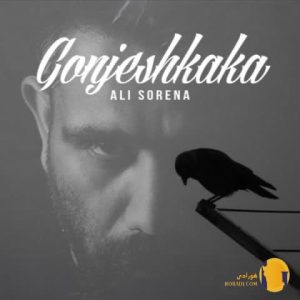 دانلود اهنگ گنجشککا علی سورنا 
