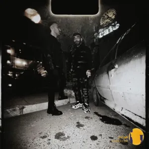 دانلود آهنگ پسر تنها دورچی با کیفیت 320 و 128 + متن کامل آهنگ